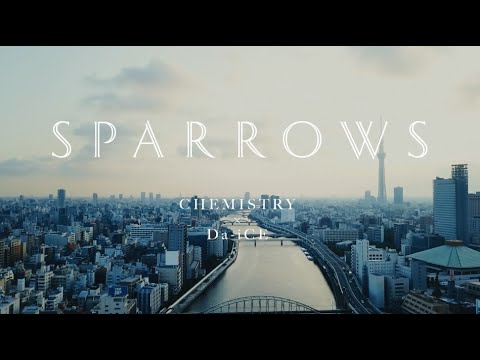 CHEMISTRY x Da-iCE – SPARROWS Lyrics (English + Romaji)
